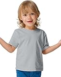 Hanes T120 Comfortsoft Crewneck ToDDler T-Shirt Size 4T, Light Steel Grey