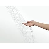 Kohler k-702404-l-sh Fluence Framelessピボットシャワードア、明るいシルバー