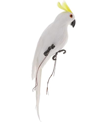 Amazon.co.jp: バカラ フィギュリン ○ オウム オーナメント オブジェ