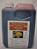 簡単！手作りプリザーブドフラワー　1液タイプ　SF-G液 (1000ml, 赤)