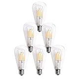 Homestia LED Clear ST64 6W 110V Warm Lighting Filament High Operating Life Antique Edison Style Bulb