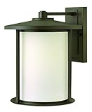 Hinkley 1915OZ Outdoor Hudson Light [並行輸入品]