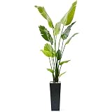 GREENPARK ストレチア FRP BK エコストーン 造花 フェイクグリーン