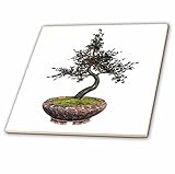 Boehmグラフィックス盆栽 – Aチェリーツリー盆栽とCherries – タイル 8-Inch-Glass ct_179992_7