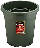 鉢から抜けない 植物が鉢から抜けない時の5つの対処方法を試そう すまいのほっとライン