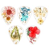 フラワーギターピック ドライフラワー 樹脂ギタープレクトラム5個セット ハンドメイド カラフル ギター プレクトラム アーティスト ギターピック ベース用 エレキアコースティックギター ウクレレ、トライアングル