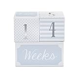 ベビーアスペン ギフト リトル プリンス マイルストーン 月齢ブロック 出産祝い ba22006bl