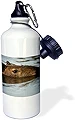 3dRose wb_228667_1インチ Capybara Northern Pantanal Brazil Sportsウォーターボトル 21オンス ナチュラル