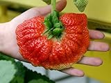 200PC大パーム巨大イチゴ種子。おいしい食用イチゴ。高度な鉢植えフルーツ種子