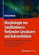 Morphologie von Sandbaenken in fliessenden Gewaessern und Buhnenfeldern: Laterale Sedimentation und natuerliche Korngroessensortierung – eine Homologie-Hypothese