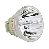 Rich Lighting プロジェクター 5J.JGT05.001 ランプ TH671ST 交換用