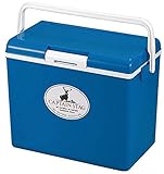 クーラーBOX 30L 【N11-35】