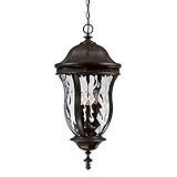 Savoy House Lighting KP-5-306-40 Monticello Collection 4-Light Outdoor Hanging Entry Lantern, Walnut