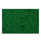 Musiclily 435x290mm ギターピックガード板材 ST TL ピックガード素材エレキギター/PBベース用、4Pグリーンパール