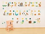 Oopsy Daisy Peel and Place A Through Z Animals by Allison Cole, 54 by 45-Inch [並行輸入品]