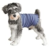 【獣医師監修】 いぬのくらし 犬用 腹巻き ペット シルク腹巻き 国産 冷え対策 伸縮性 長さ調整 小型犬 中型犬 冷え防止 ドッグウェア 調整可能 犬 猫 洗濯可能 (ブルーグレー, M)