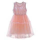 Pettigirl子供ドレス ガールズワンピース ビーズ ピンクフラワードレス 花柄 結婚式 パーティー 春夏 可愛い ベビードレス 130 [並行輸入品]
