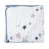 エイデンアンドアネイ / Aden+Anais DREAM BLANKET並行輸入品 (rock star)) [並行輸入品]