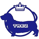 14色 愛犬名 or 犬種名入り バセットハウンド ステッカー DOG ON BOARD【DOG IN CAR 愛犬 ワンコ 名入れ ネーム ドッグ 犬 車 中型犬 カーサイン 名前 名前入り】 (ブ