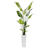 GREENPARK ストレチア FRP WH ウッドチップ 造花 フェイクグリーン