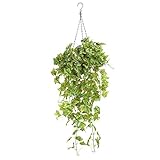 Sund 人工観葉植物 吊り下げ 造花 インテリア 飾り付け 2本セット プラントポット付き 室内装飾 欧米風 プレゼント お祝い 癒し 世話いらない パーティー/結婚式/引越しに最適 選べる4タイプ