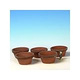 国産素焼き浅鉢　3号５個セット