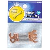 OHM つめ付 ヒューズ 20A-250V 5本 (09-1543)