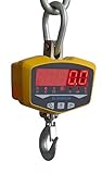 クレーンスケール 300kg　デジタル吊りはかり 電池式 (300) [並行輸入品]
