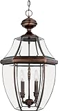 Quoizel NY1180AC Newbury 4-Light Outdoor Hanging Lantern, Aged Copper by Quoizel