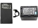 WELLSKY VW-VBK360 VW-VBK360-K 互換バッテリー 1個 + VW-BC10 VW-BC10-K [ 超軽量 ] USB Type-C 互換充電器 バッテリーチャージャー 1個 [ 2個セット ] [ 純正充電器で充電可能 残量表示可能 純正品と同じよう使用可能 ] パナソニック