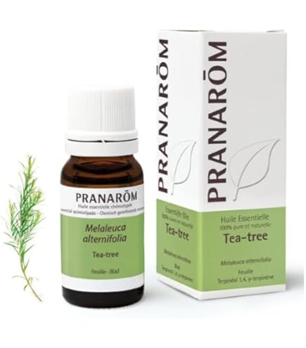 Amazon.co.jp: プラナロム ペパーミント 10ml : ドラッグストア