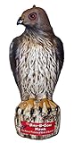 Bird B Gone 有害な鳥の侵入防止 ホーク 鷹 デコイ [並行輸入品]