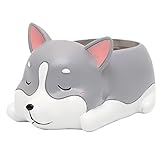 Ochine　カクタス　多肉　植物　鉢　癒しハスキー　植木鉢　デザイン小物　プランター　ミニ樹脂ハスキー　DIY　雑貨　室内　飾り　収納スタンドにも　両用　誕生日　プレゼント