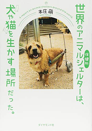 世界のアニマルシェルターは、 犬や猫を生かす場所だった。