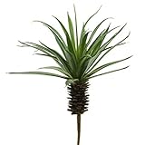 Shinoda Design Center 0031301213 2 Piece Faux Succulent Stem Set 9 Green【クリスマス】【ツリー】 [並行輸入品]