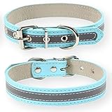 [LaLUCA GOODS] 首輪 犬 猫 革 定番 スタンダード PU レザー シンプル 反射素材 小型犬 中型犬 ドッグ 散歩 カラフル ブルー 2XL