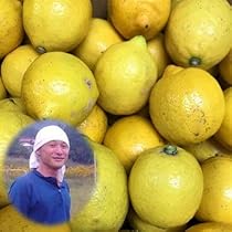 国産　瀬戸田レモン農薬不使用　　o 瀬戸田農薬不使用レモン(皮が薄い、果汁多い、果皮が美しい極上
