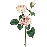 ローズスプレーX3 FXFR0008MAV