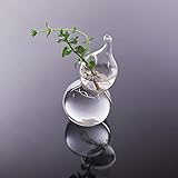 Homyl 家　フラワーベース　ホーム　ガラス　花瓶　DIYボトル　飾り　　インテリア　　水耕栽培　容器　ひょうたん形　透明　2個入り　
