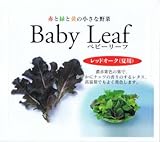 【種子】ベビーリーフ・夏用レッドオーク 1dl