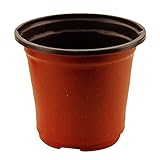 Nice Days（ナイス　ディズ）　ミニ植木鉢　プラスチックプランター　柔らかい　5個セット