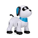 電子ロボット犬, Funien LE NENGK21電子ロボット犬スタント犬リモートコントロールロボット犬おもちゃ音声制御プログラム可能なタッチセンス音楽ダンスおもちゃ子供のための誕生日クリスマスギフト