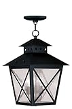 Livex Lighting 2675-04 Montgomery 3-Light Outdoor Chain Hang, Black [並行輸入品]