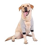 Ouriken 犬 サポーター ペット用 ひざ当て 犬 前足 肘 けが 犬用 関節プロテクター 老犬介護用品 ペット用品犬 前足サポーター 調節可能 舐め防止 小型犬 中型 大型犬 グレー-L