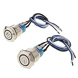 Dolity 2個　12V 19mm　ラッチ　LED　金属　プッシュ　ボタン　パネル　スイッチ　防水　多機能 実用的