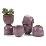 T4U 6.5CM 陶器ミ二植木鉢 高さ増加！ 氷裂紫砂シリーズ 多肉植物 サボテン鉢 フラワーポット プランター容器 紫 6個入り