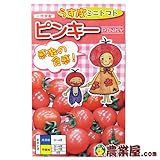 ミニトマト 種 【 ピンキー 】 種子 小袋（約２０粒）
