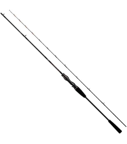 Amazon | ダイワ(DAIWA) 船竿 ビシアジX MH-150・J | ダイワ(DAIWA) | 船竿
