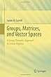 Groups, Matrices, and Vector Spaces: A Group Theoretic Approach to Linear Algebra