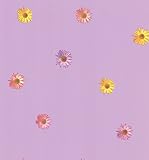 Brewster NG63842 Daisy Purple Gerber Daisies Wallpaper [並行輸入品]